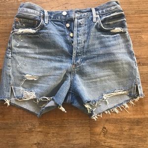 Agolde Dee High Rise Shorts